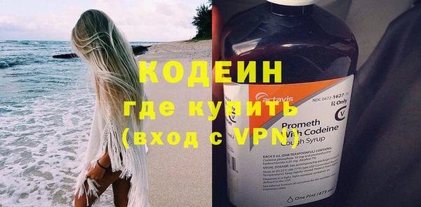соль ск Дмитриев