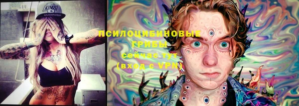ECSTASY Михайлов
