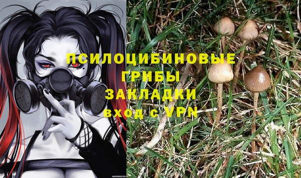 прущий лед Бердск