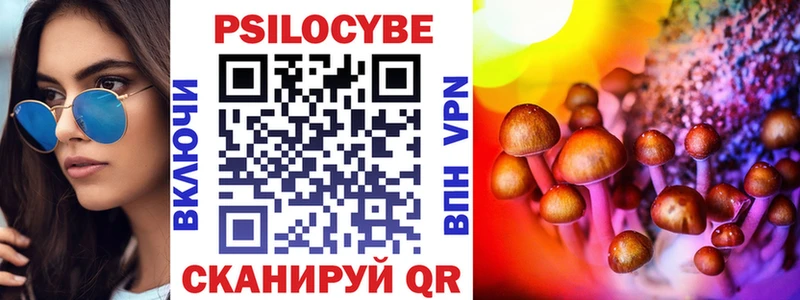 Галлюциногенные грибы MAGIC MUSHROOMS  Ершов 