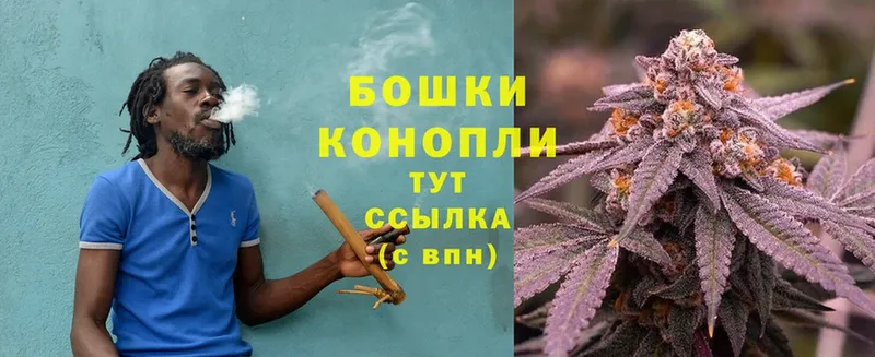 Бошки Шишки OG Kush  Ершов 